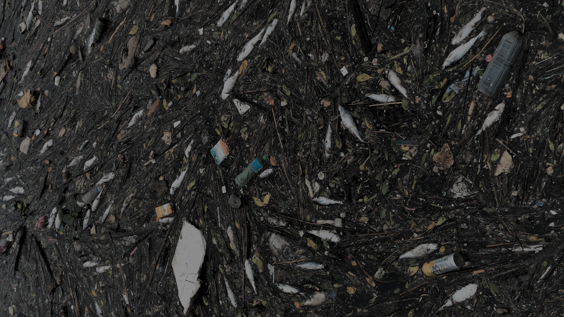 物的記憶：漫遊者劇場